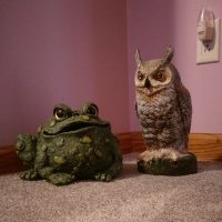 LTGSevenTen (@catsrustoo) 's Twitter Profile