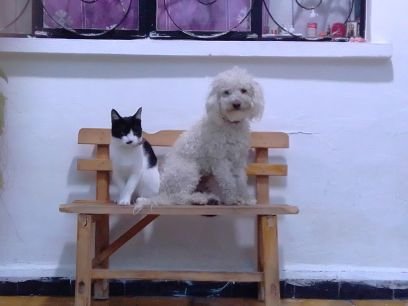 Maurici64873736's profile picture. ser intenso