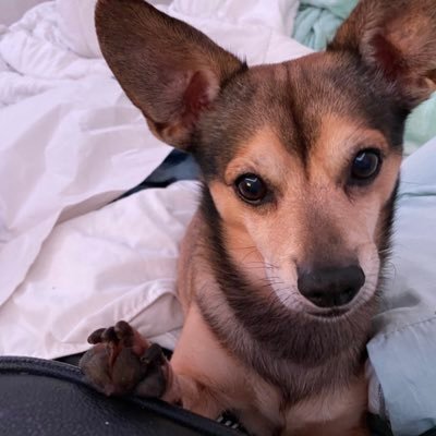 lvlam00's profile picture. ✨I’m moving to Pluto✨