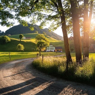 heyi48800587's profile picture. 天朝所有政策的实施过程，都是羞辱屁民的过程。 没有中国模式，唯一有的就是低人权优势。低人权政治（没有投票权）、低人权经济（没有议价权）和低人权战争（人海战术）让我党百年来无往而不利。没有什么事情是堆积人矿搞不定的。上世纪六十年代党就以三千多万人矿为代价解决了其他人基本饿不死的问题。