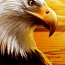 Judith Nieves - @287654321 - Twitter