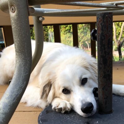 p_moy88's profile picture. 