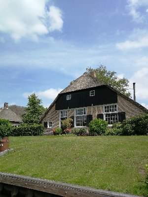 fgq0265's profile picture. nothing to say