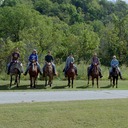 Chris Wulf - @chriswulf1 - Twitter