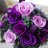 violet_rose_th