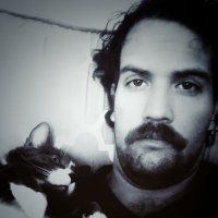 who dey roy (@sir_whiskersphd) 's Twitter Profile