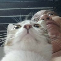 Eyydrian 🔥 (@tapasiloggg) Twitter profile photo