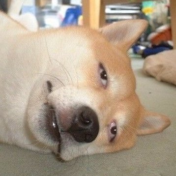 yukihet1's profile picture. 週末音声研究者