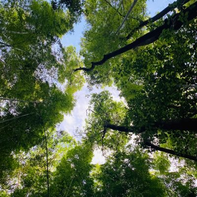 ishida_aoi's profile picture. Twitterよりインスタ派です