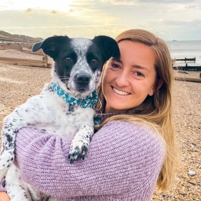 DomMasters10's profile picture. || #3, Northwestern University Alum '17 |