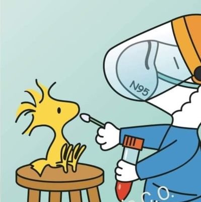 Ind60162351's profile picture. 