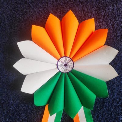 bingikavi's profile picture. 