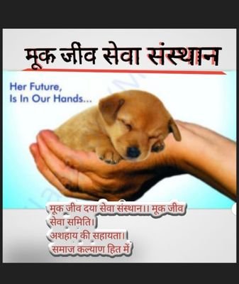 मुक जीव दया सेवा संस्थान।।
मुक जीव सेवा ट्रस्ट।।
असहाए की सहायता।।
समाज कल्याण