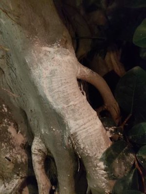 sabsak2's profile picture. 