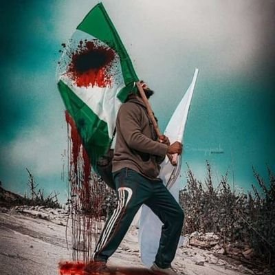 GhostMood6's profile picture. 