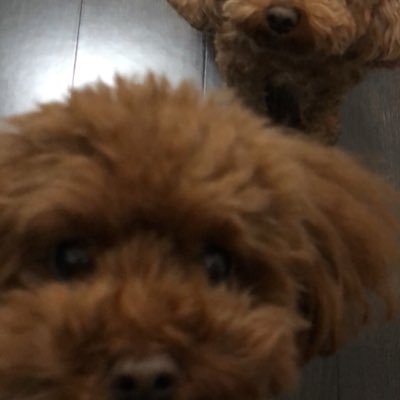 babahiroko49's profile picture. 懸賞にハマってます💖