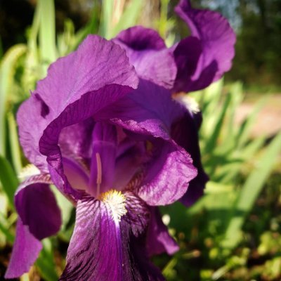 StfKlaus's profile picture. 