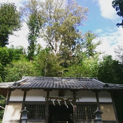 三重県多気郡大台町江馬に鎮座する小さなお社、荻原神社(おぎはらじんじゃ)。女性宮司として平成30年に就任致しました。Instagramを宮司就任年に開設。X(旧Twitter)は令和2年10月開設。社家ではありません。よろしくお願いいたします✨