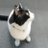 心吉🐱の母のアイコン