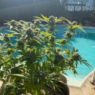 justincase6968's profile picture. 