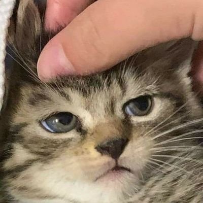 мракさんのプロフィール画像