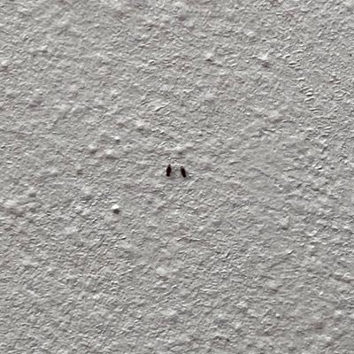 TavandakiS's profile picture. Oradayız ve neden orada olduğumuzu bilmiyorsunuz..