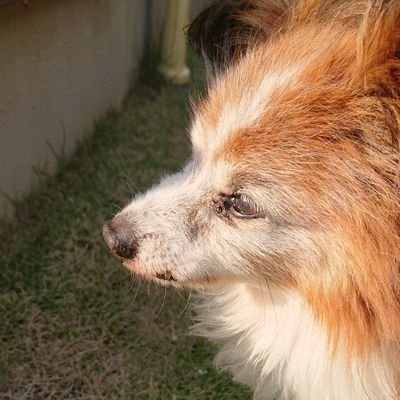 マヤさんのプロフィール画像