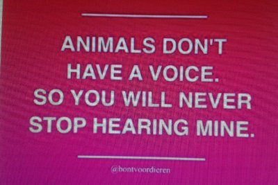 I'm here to lend my #voice 4 #AnimalRights and Basic #HumanDecency! #TouchTypist #VoteBlue I think we should #ConfrontCruelty, I am part of the #LGBTQ #BLM