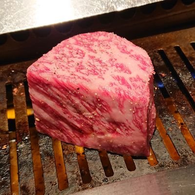 かたかなのたさんのプロフィール画像