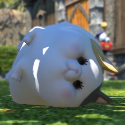xetuna0919's profile picture. 脱国者。今年の２月くらいから本格的に光の戦士に転生。
FF14楽しすぎて国で失った人の心を取り戻したまんまるなタイガー。