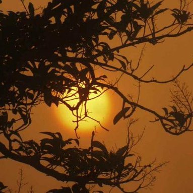 MdHafizur1998's profile picture. I am a student.