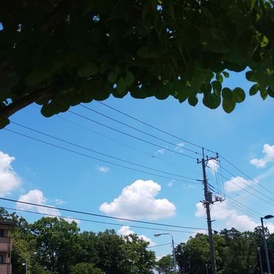 小さな生活をして、ちょっとづつちょっとづつ目標のアッパーマス層に近付きたい😶 目標は40代でセミリタイア🎉その為に出来ることを今❗️