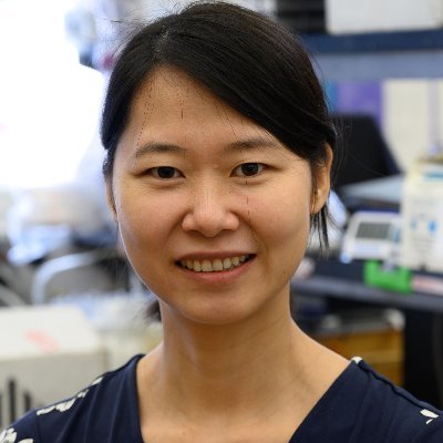 Huaiying Zhang Profile