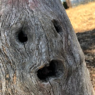 w1nsomedimsum's profile picture. 