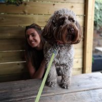 Ceri Sian Garratt (@cerishodgkison) 's Twitter Profile Photo