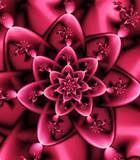 Pro2Ultimate's profile picture. 