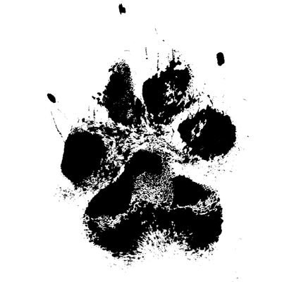 Ronny25811's profile picture. 