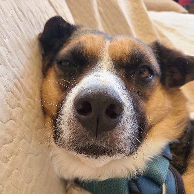 ronney_786's profile picture. 