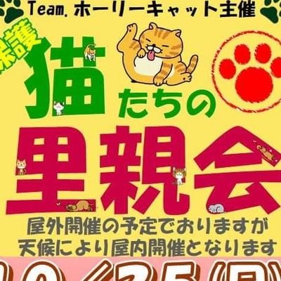 主催：Team.ホーリーキャット

Amazonのリストです。
宜しくお願い致します。
https://t.co/mgZS2l6B8O

～毎月第④日曜日～ に茨城県牛久市にて
「保護猫の里親会」を開催しております
場所：つばた接骨院
　　　茨城県牛久市さくら台１－７６－７