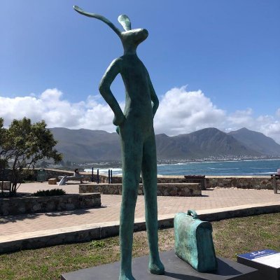 greenqu32063528's profile picture. Turtles and Trees