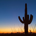 Pima County (@pimacountyaz) Twitter profile photo Pima County (@pimacountyaz) Twitter profile photo