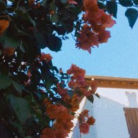 R (@restlessmindxx) Twitter profile photo