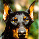 DENNIS HELM - @TRACKING_GUIDE - Twitter