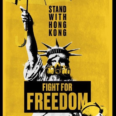 🇺🇸 🇭🇰 1776, Common Sense, Rally against Election Fraud, Stand with HK
