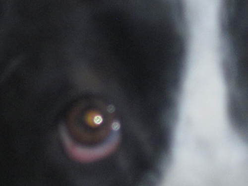 FCMEYER3's profile picture. 