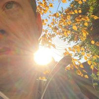 input.translation π
γΆ β’ γπΊπ¦ (@flux_the_system) 's Twitter Profile