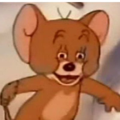 RocketL52869423's profile picture. Rocket yeeter