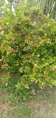 aabidhussain571's profile picture. 