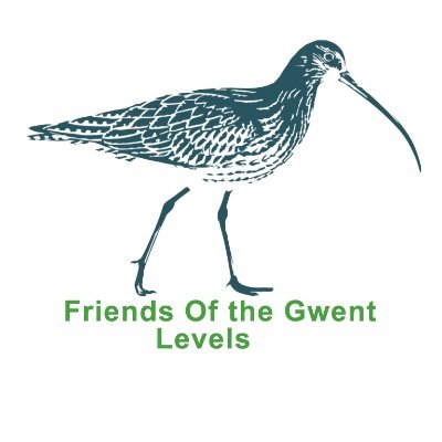 Friends of the Gwent Levels