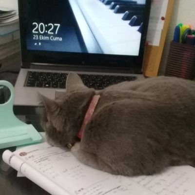 Zlal52164689's profile picture. 